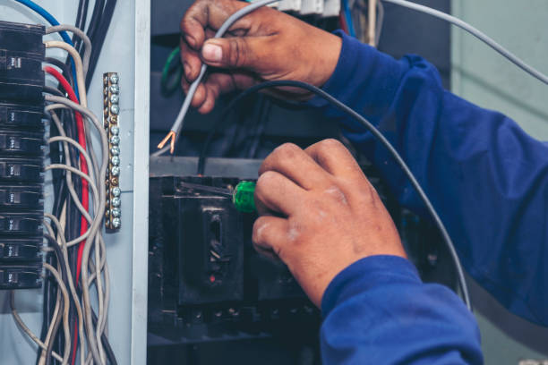 Best Ceiling Fan Installation Electrician  in Quartz Hill, CA